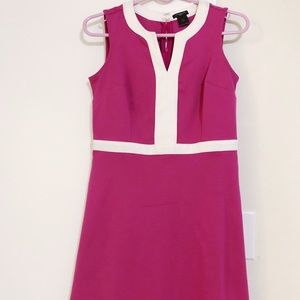 Ann Taylor Magenta Dress 0 Petite